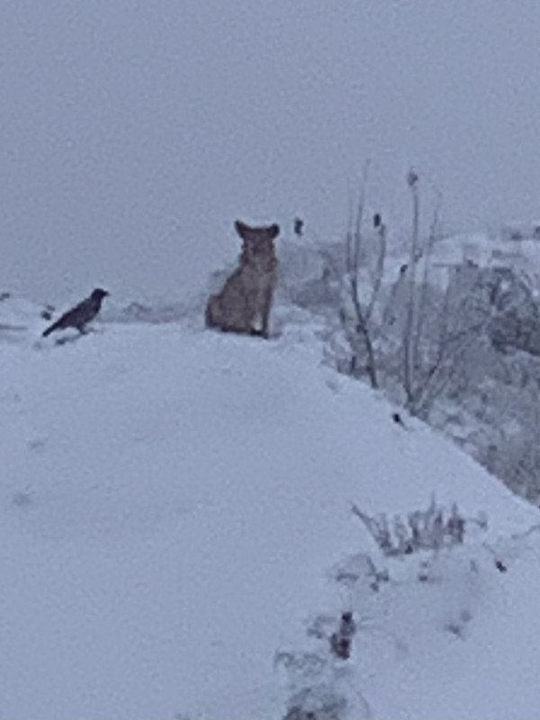 66568CA5-B0A4-4C3C-AD3F-98E5DBFF3A1C