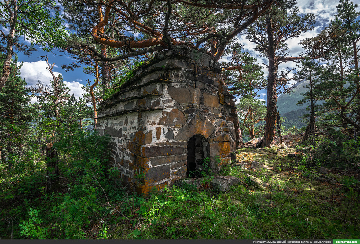 5E7DF519-E0E8-4A17-A66C-8CA61B0FDAE3