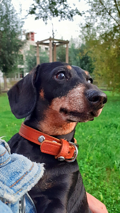 [Image: IMG-20231006-082016.jpg]