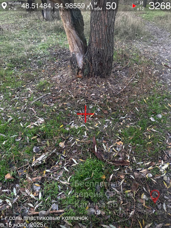 IMG 20251115 163234 122