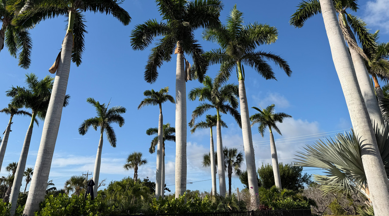 [Image: Sanibel-Island4.jpg]