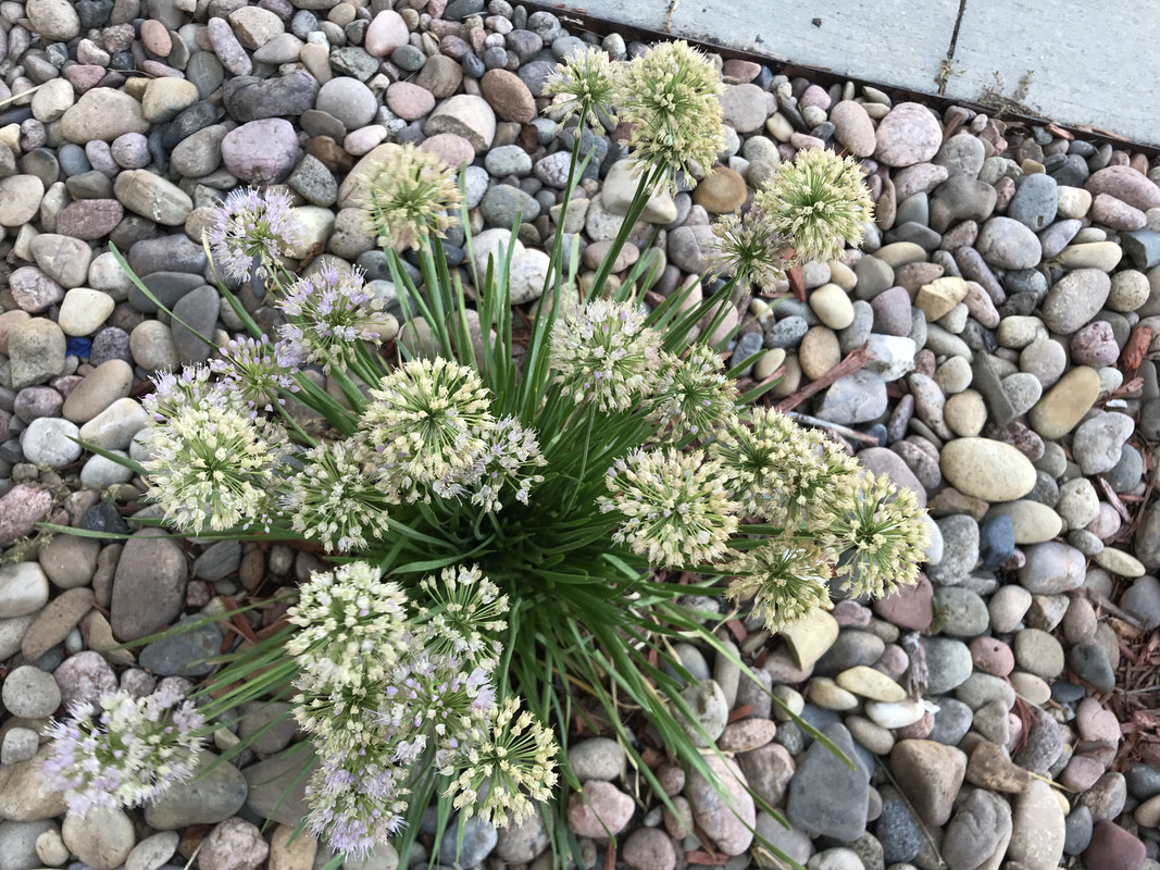 38E7C1E7-61BC-46F2-93CC-6D54E45705D7