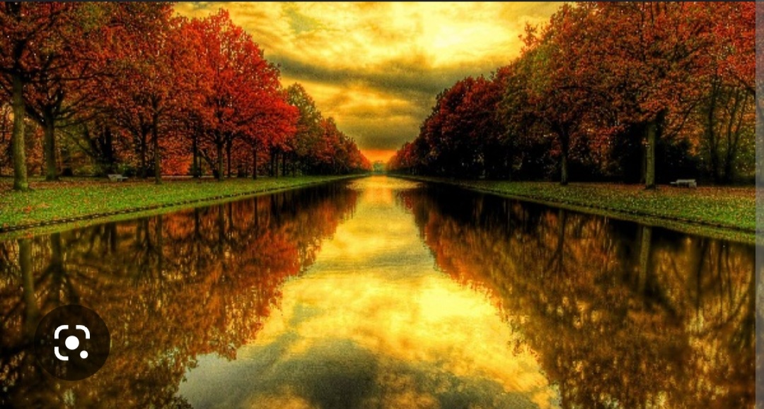 Screenshot_20221124-163722_Chrome