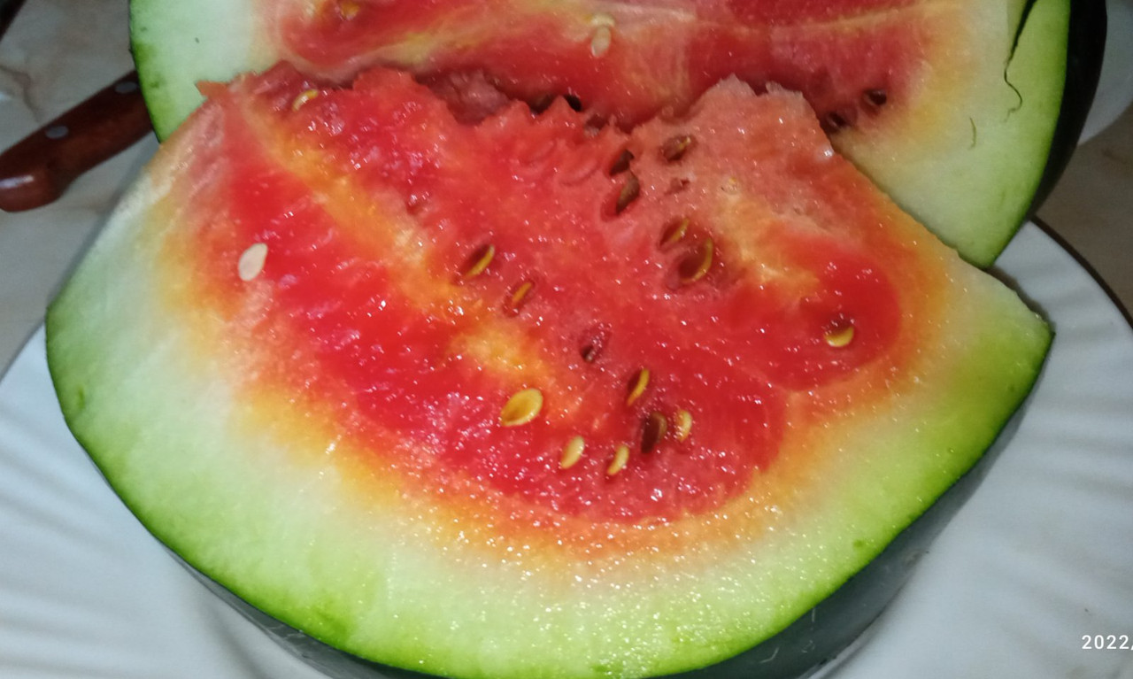 Шуга Беби 2022-08-15_10-34-59