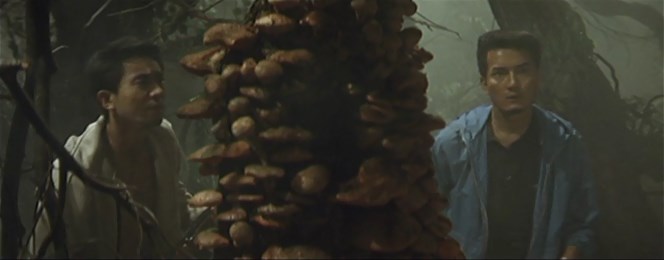 Movie cover image