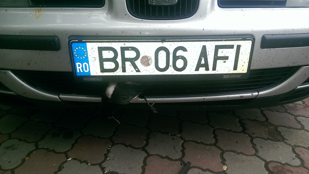 IMAG0193