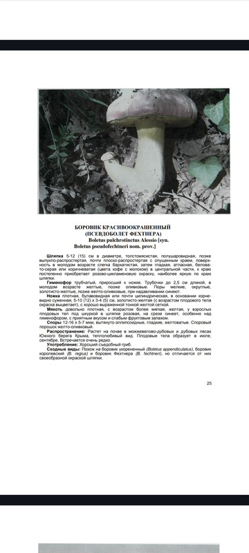 Screenshot_2024-10-24-22-36-48-379_com.google.android.apps.docs