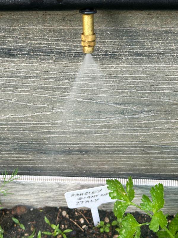 irrigation-2.jpg