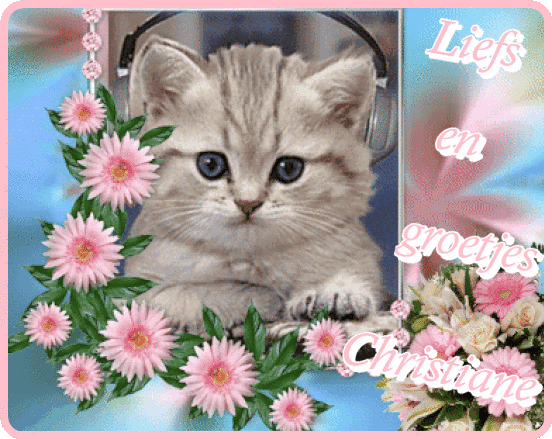 blog29april.gif