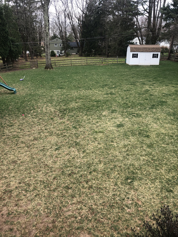 31EA86B8-DA6C-4361-A825-2F745D759570