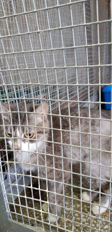 74083080-6BE6-415F-B8E1-6788FCEFEC2F