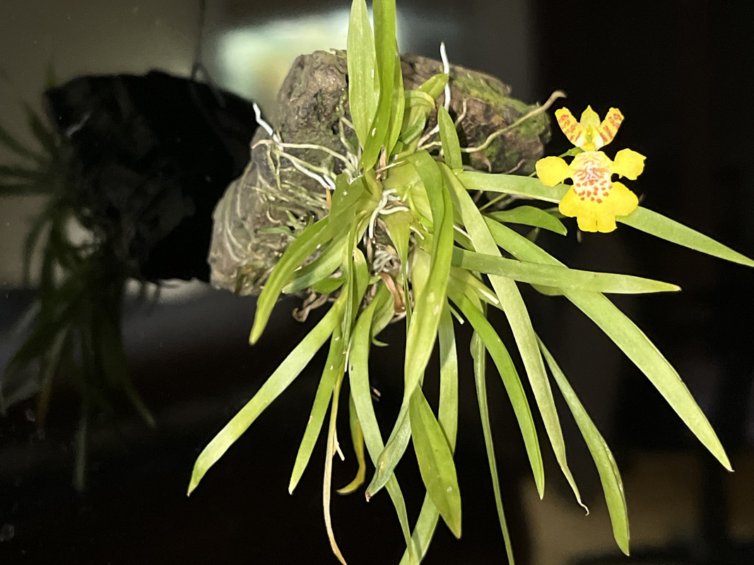 824327A9-6CDF-4C03-A337-F1DC30BD23BC