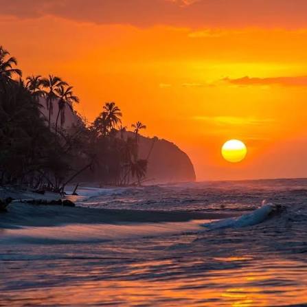 Palomino beach