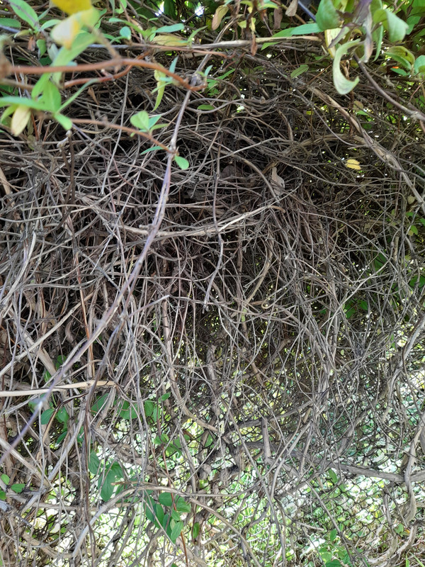 20240511_165652