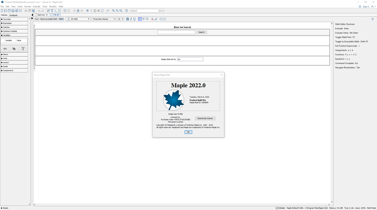 Maplesoft-Maple-2022-x64.png