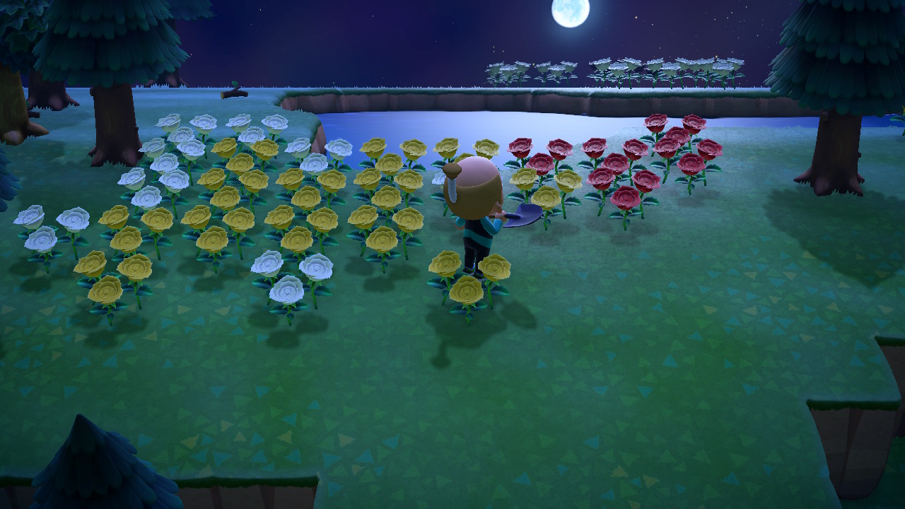 2023063022420800-02-CB906-EA538-A35643-C