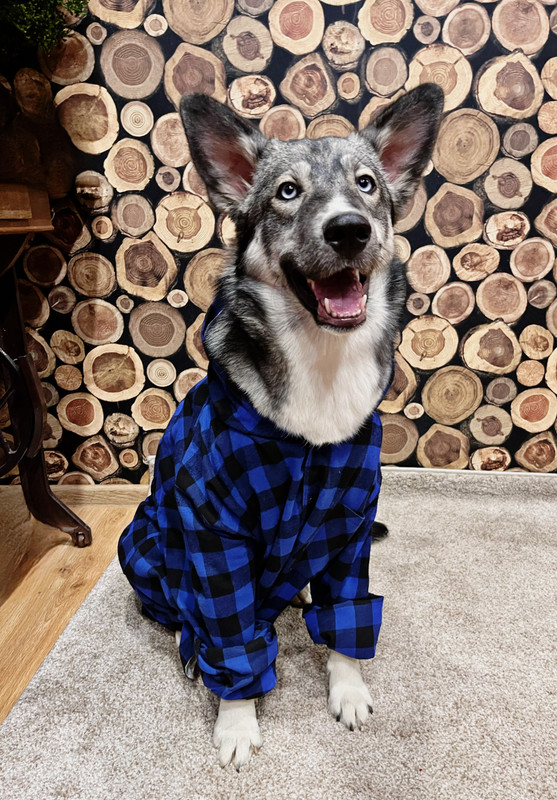 DF11A559-6AF4-4F99-8A92-093574444AA1