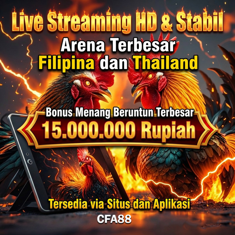 CFA88 Live Sabung Ayam Pakhoi & Pasaran Lengkap