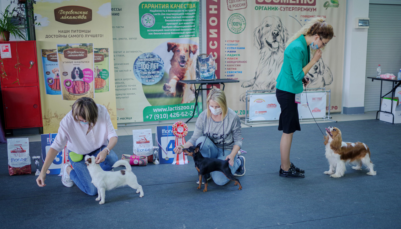 IMGP6706-2 - копия