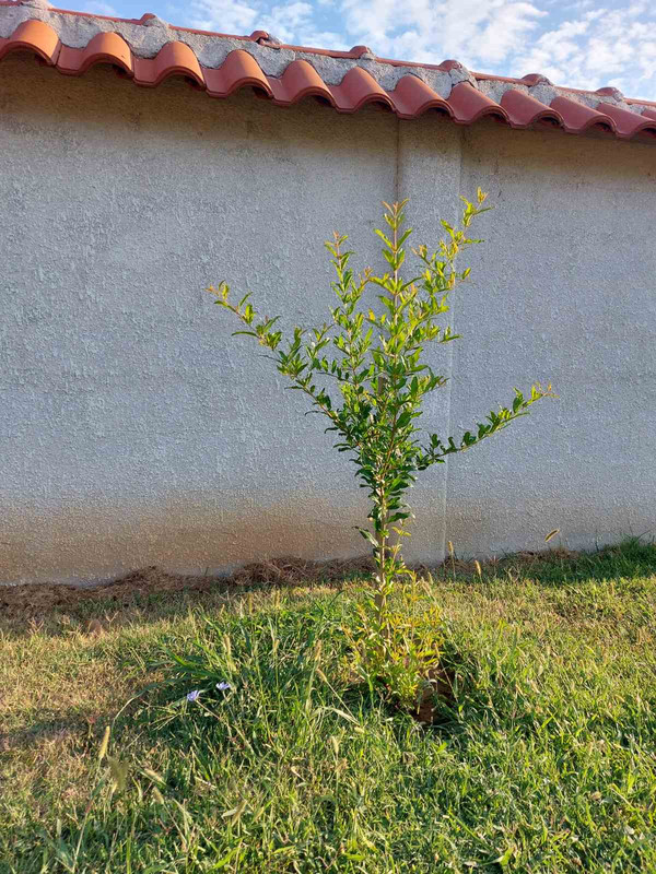 0-02-05-834c6a7b0ed9be571fa3f6be54f38bf218dcdb24ebec620db5a5073f0e9c54e0_b3a0538e1a920a55