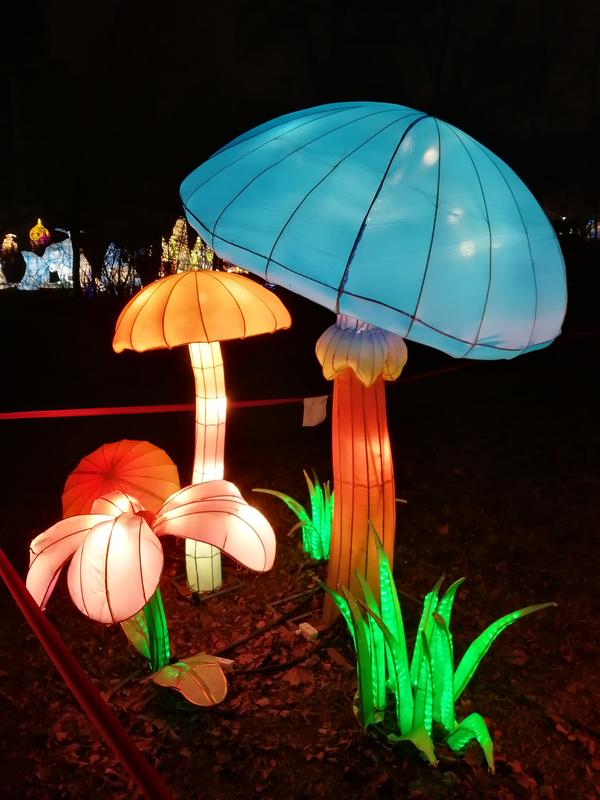 https://i.postimg.cc/vmJF1ZS3/065-IMG-20191226-165355.jpg