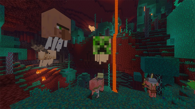 Image 8