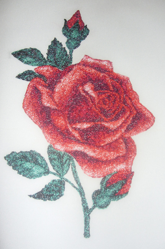 Красная роза