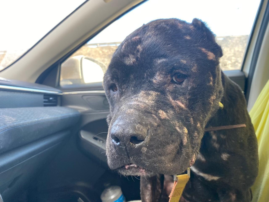 WhatsApp Image 2024-03-25 at 19.48.58 (1)