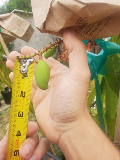 30B912CD-6761-4265-9727-F5A7D0A15912