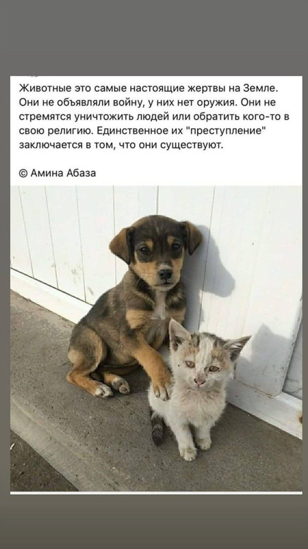 [Изображение: 9f65f8b8eaeacdb1e383779234318e19.jpg]