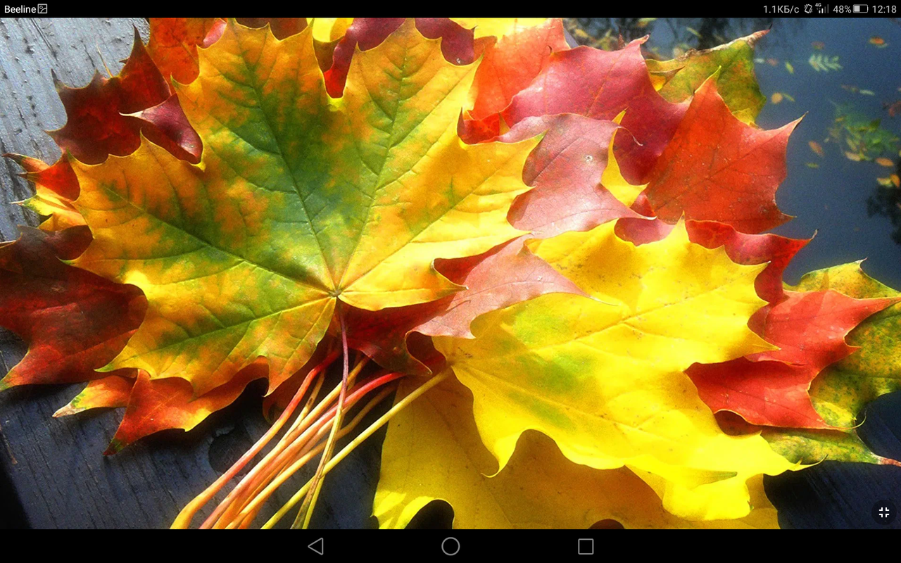 Screenshot_2023-10-03-12-18-46