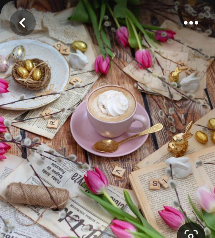 Screenshot_20230603_222956_Pinterest