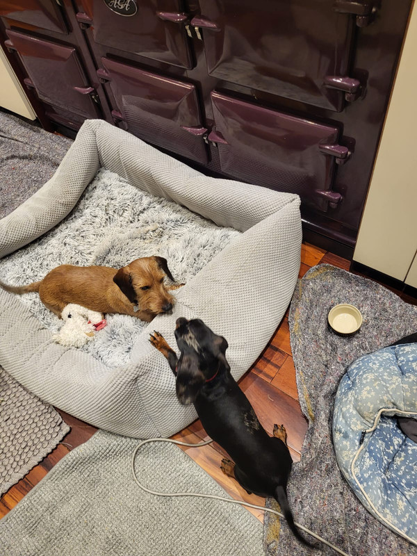 [Image: IMG-20250214-WA0007.jpg]