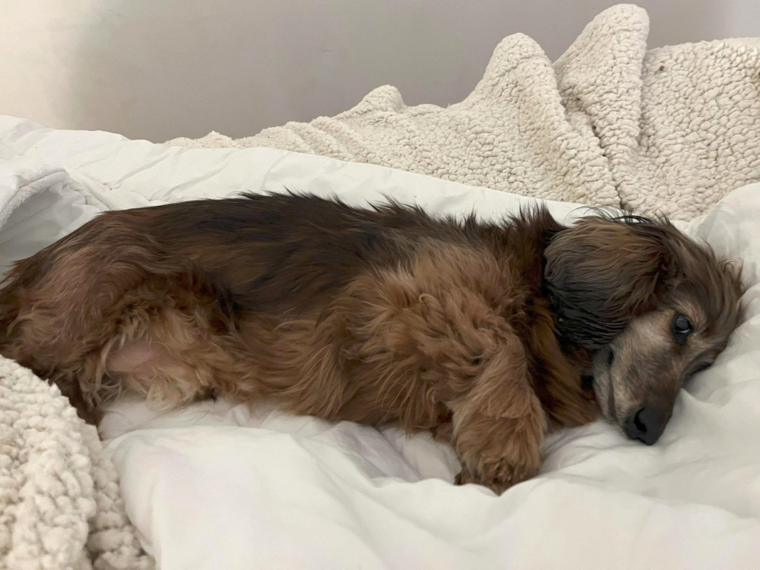 [Image: Hannibal-Odiel-2024-1.jpg]