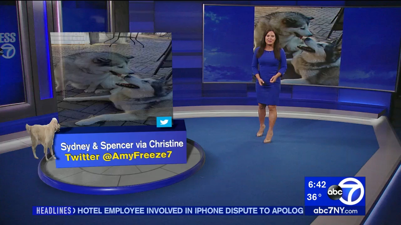 01.17 - 11.00.00 - Eyewitness News Sunday Morning..ts_snapshot_00.44.05.594