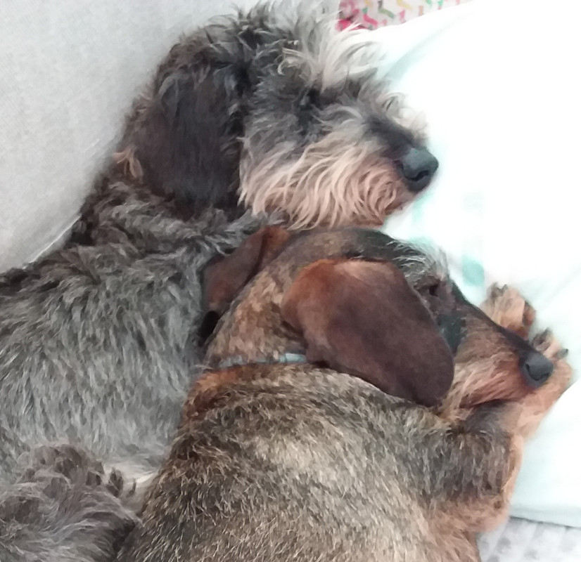 [Image: 20230823-152909.jpg]