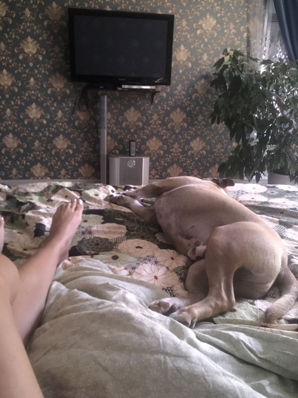 8ED83140-60E1-4402-8E78-1CD584C8667A