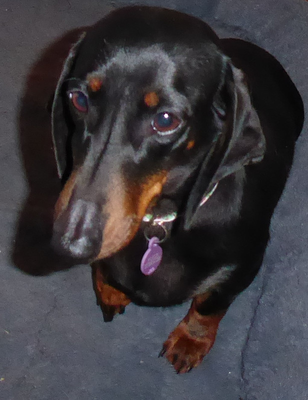 [Image: P1050482.jpg]