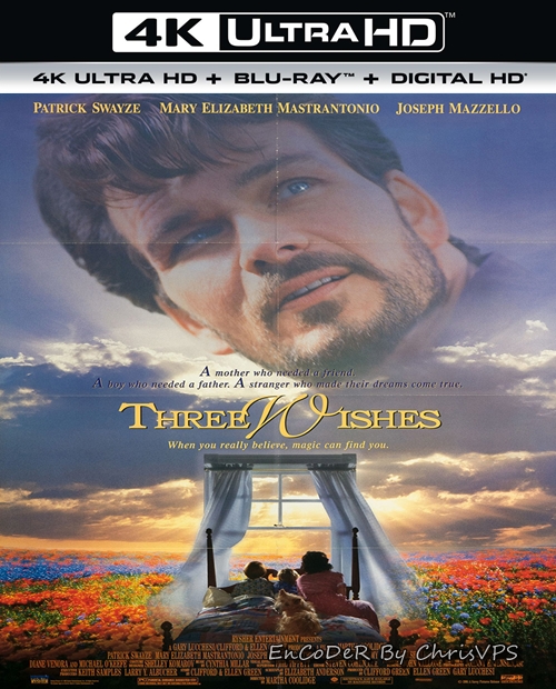 Trzy życzenia / Three Wishes (1995) MULTI.HDR.2160p.BDRemux.PCM.AC3-ChrisVPS / LEKTOR i NAPISY