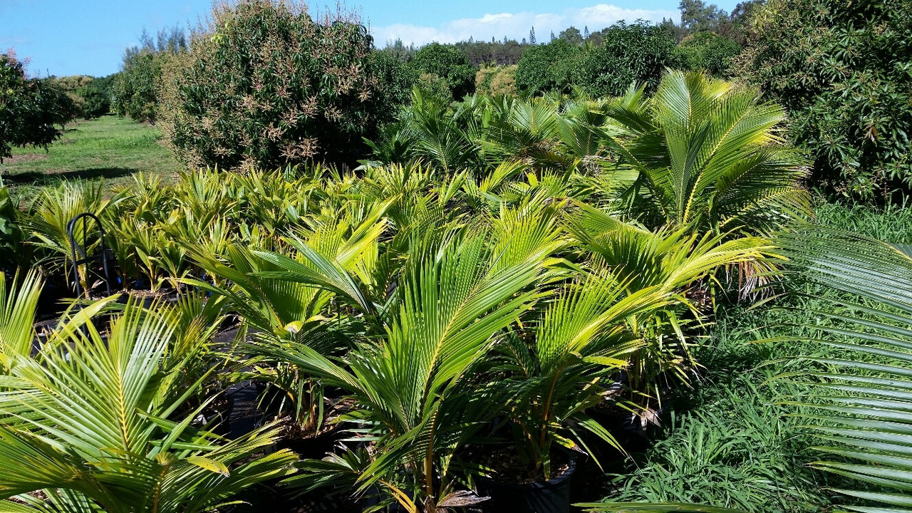 20150204_105429_resized_1