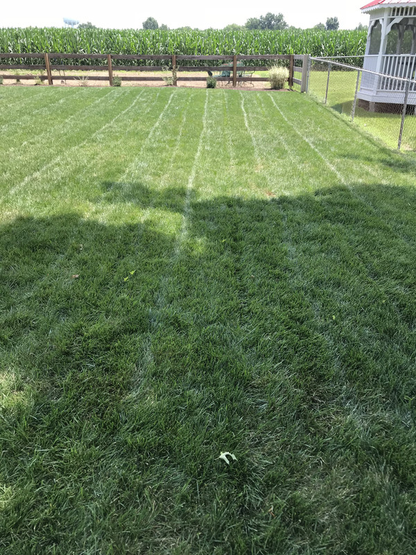 50143FD9-7518-41E3-A6A7-CDA7C3A9EEA0