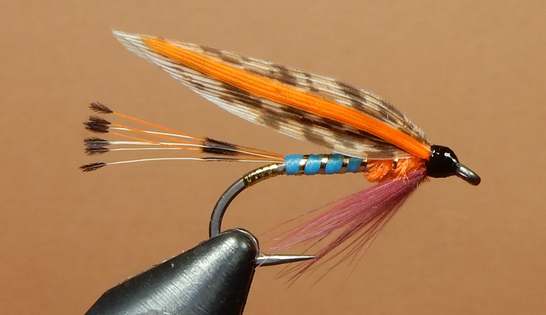 Orange-Blue-1080.jpg