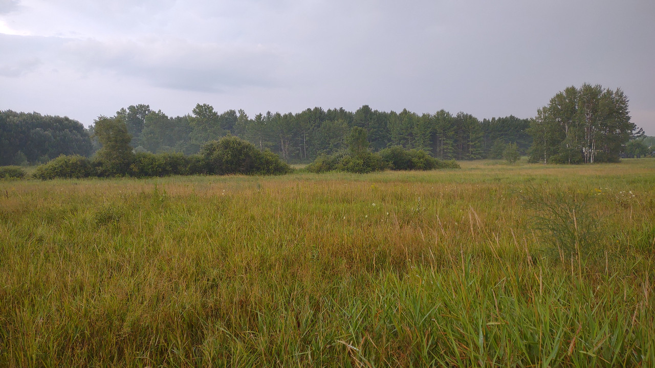 IMG_20250808_201850745