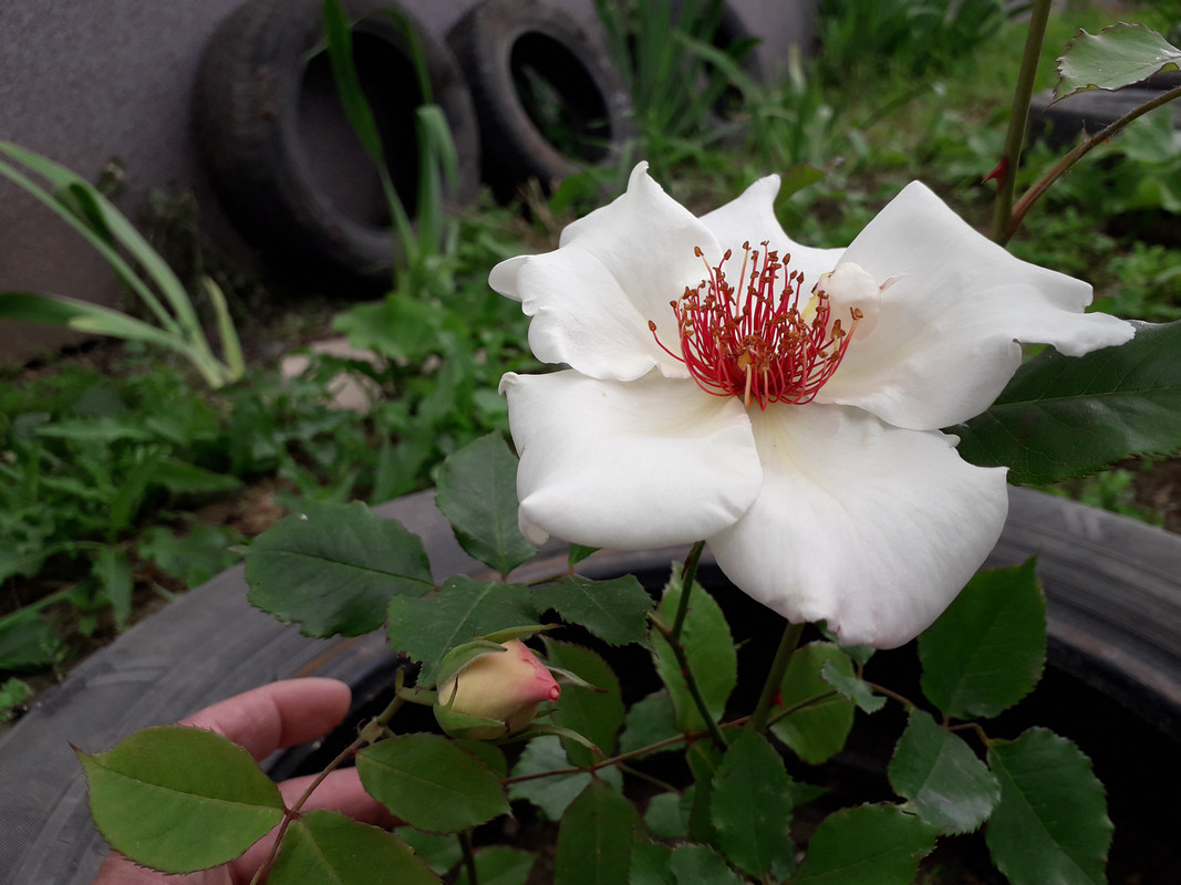 20190530_154608