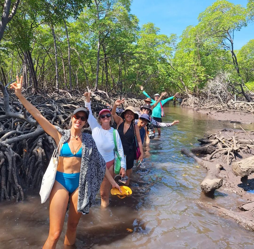 Trilha ecológica no manguezal de Boipeba - Moreré Adventure