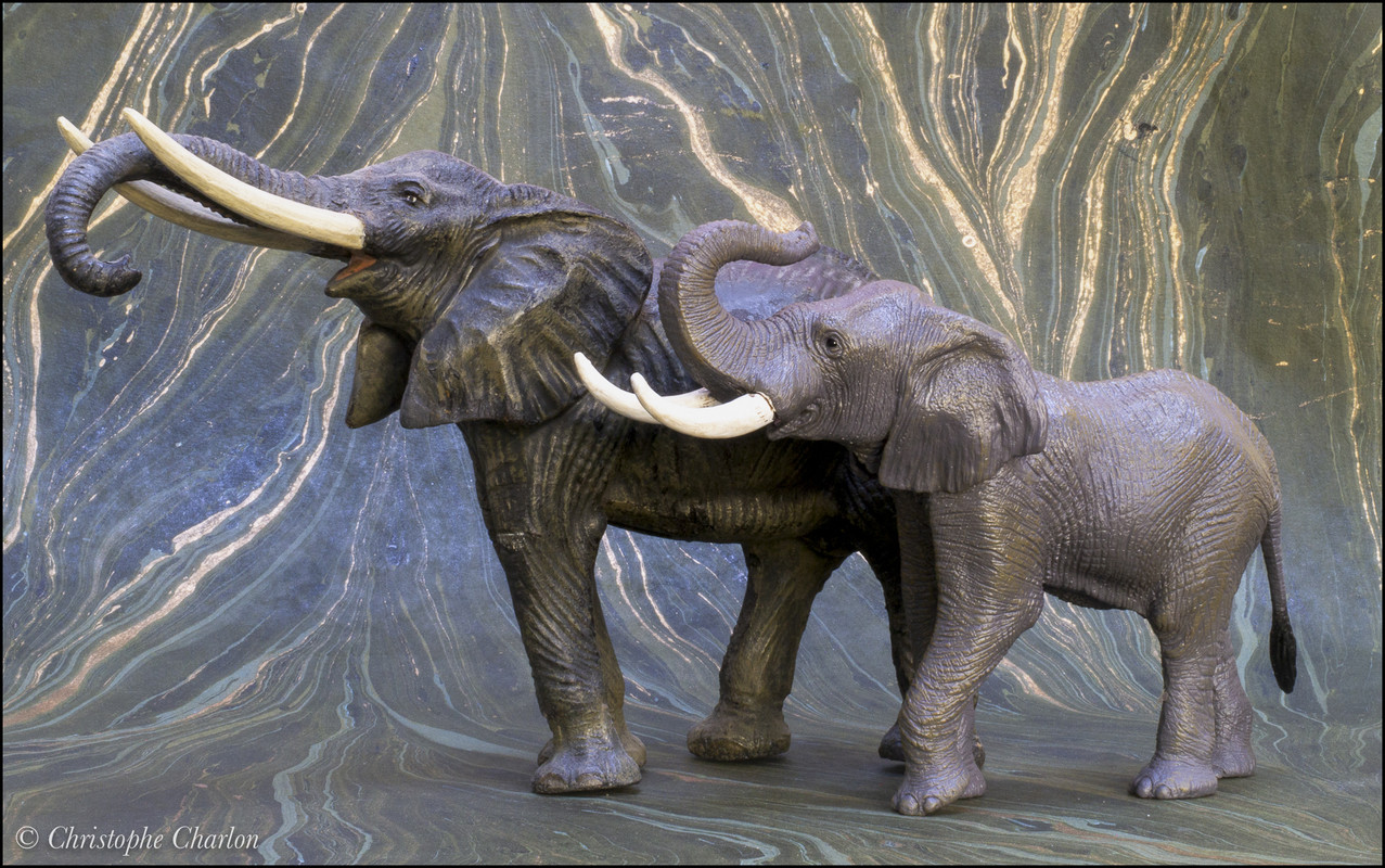 mojo - Mojo 2021 African elephant: a Walkaround by Kikimalou Mojo-381005-African-elephant-22