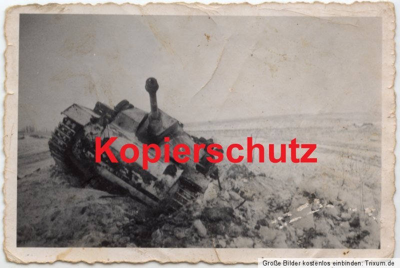 Orig. Fotos Sturmgeschütz-Abt. GD Elite Ordensve