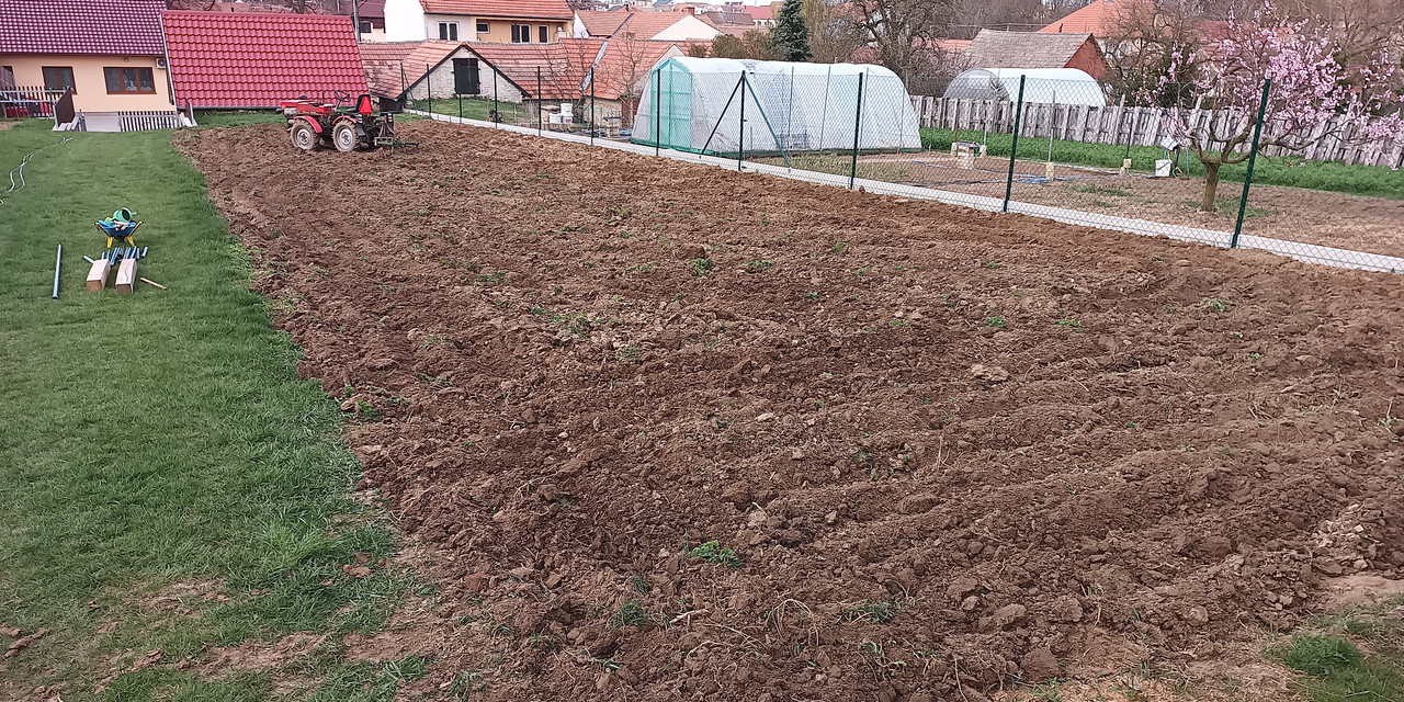 IMG_20250411_171245_826