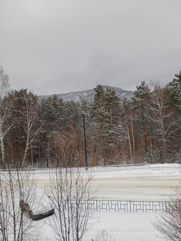 IMG20231126094102_01 (1)