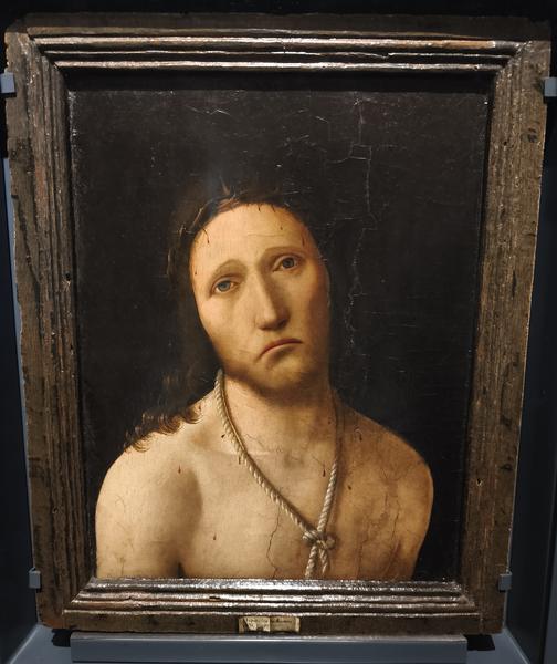 Milán-Turín-Génova-Pavía - Blogs de Italia - Génova, espectacular conjunto museístico (175)